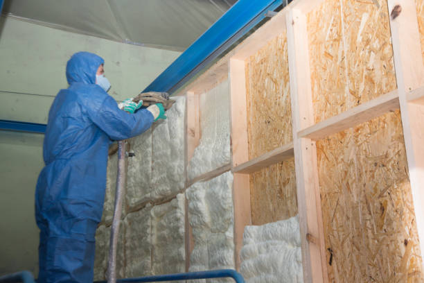 Best Insulation for New Construction  in New Glarus, WI