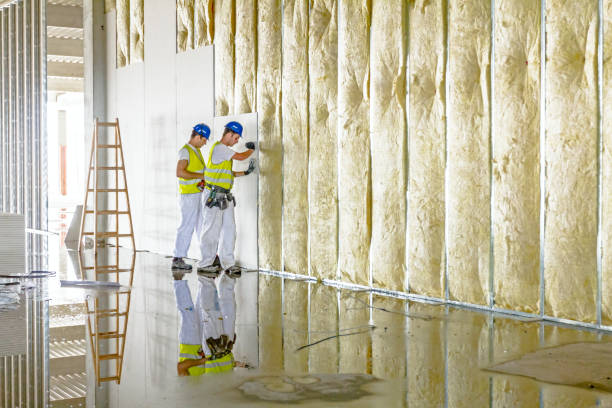 Best Insulation Replacement Services  in New Glarus, WI